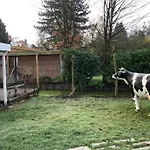 Tiny House In Tuin De Statige Mariahof * Dordrecht