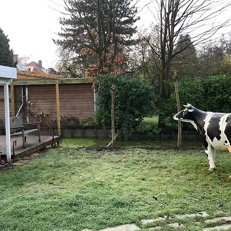 Tiny House In Tuin De Statige Mariahof * 多德雷赫特