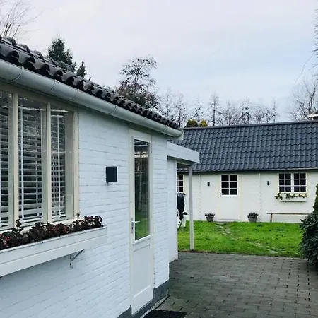 Tiny House In Tuin De Statige Mariahof Dordrecht
