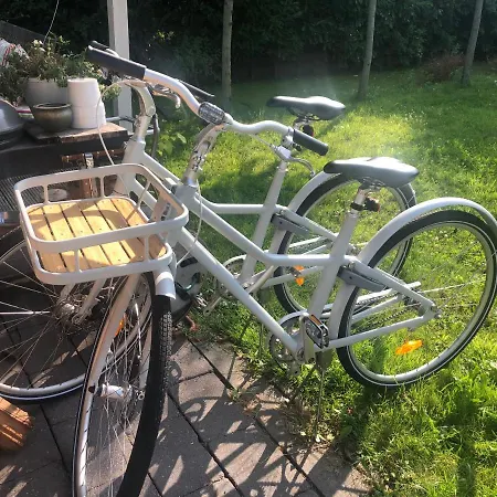 Tiny House In Tuin De Statige Mariahof בית נופש דורדרכט