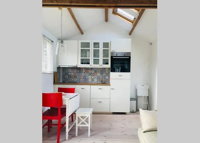 Tiny House In Tuin De Statige Mariahof