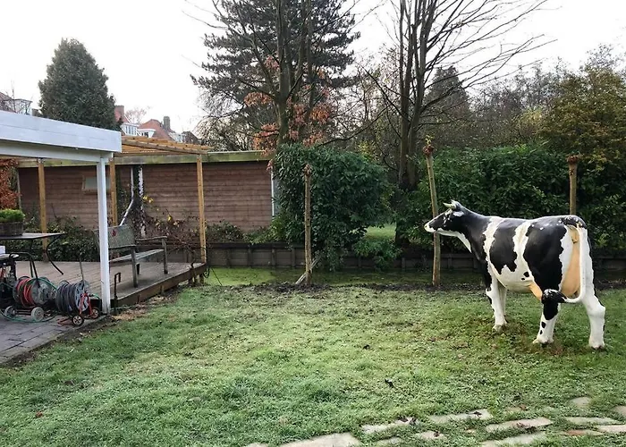 Tiny House In Tuin De Statige Mariahof * Dordrecht