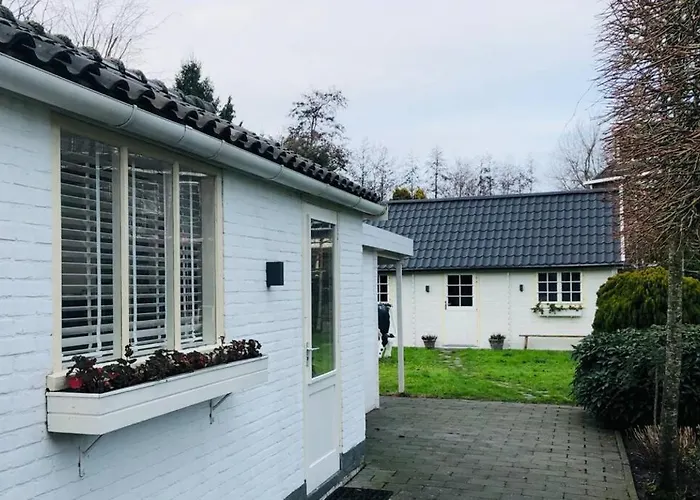Tiny House In Tuin De Statige Mariahof 多德雷赫特